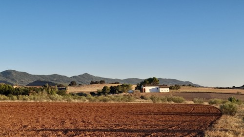 Tierras de labor alrededor de la Ermita de Turruchel