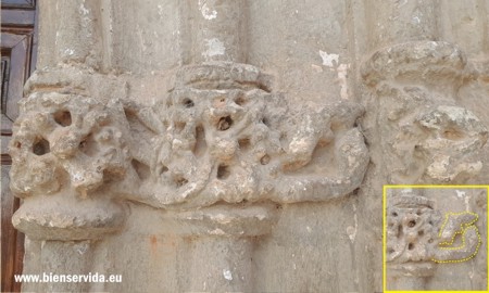 Lagarto o salamandra y serpiente