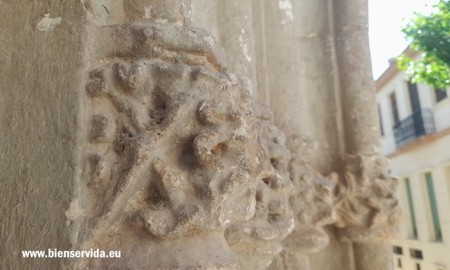 Mixtura de elementos vegetales