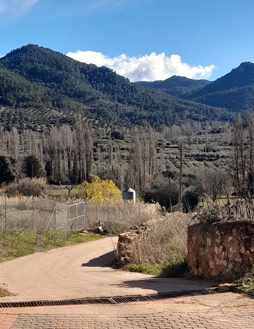 Lugar donde estaba Bayonas (en el centro de la imagen) desde Bienservida