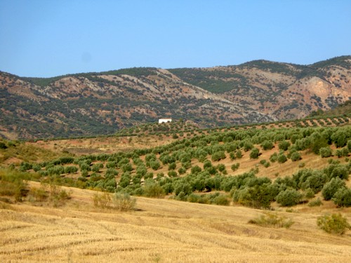 Vista de la Ermita de San Crist�bal desde Hoya Vico, en el l�mite del T.M. de Bienservida