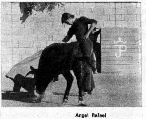 Tentadero en Bienservida. �ngel Rafael. 31/12/1974